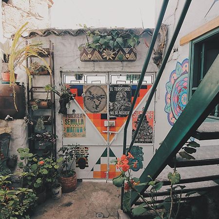 Готель Hostal Casa Del Frailejon - Cafe Монгуі Екстер'єр фото